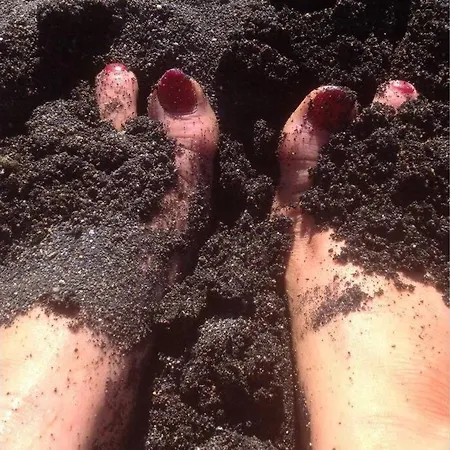 Duplex /calme-piscine-vue Ocean-regle/hygiene Cov. *