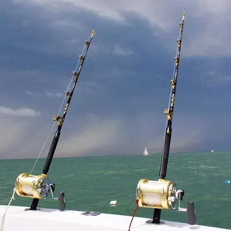 Duplex /calme-piscine-vue Ocean-regle/hygiene Cov. * Costa De Antigua