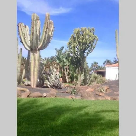 Apartamento Duplex /calme-piscine-vue Ocean-regle/hygiene Cov. Costa De Antigua