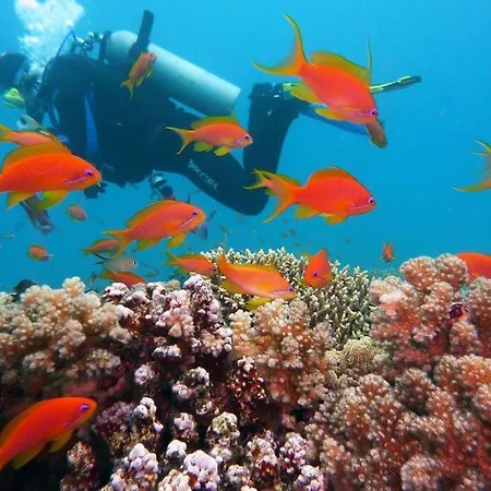 Duplex /calme-piscine-vue Ocean-regle/hygiene Cov. شقة كوستا دي أنتيجوا