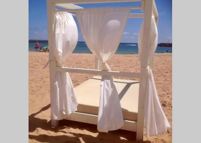 Duplex /calme-piscine-vue Ocean-regle/hygiene Cov. Daire