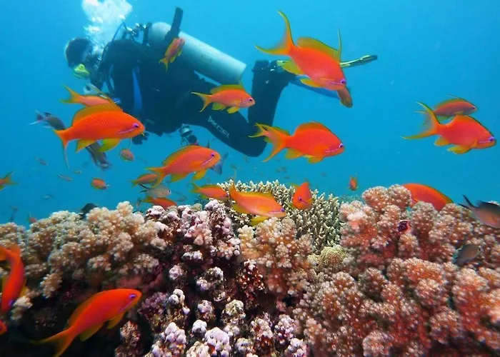 Duplex /calme-piscine-vue Ocean-regle/hygiene Cov. Daire Costa De Antigua