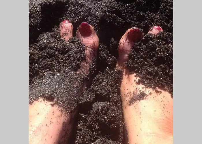 Duplex /calme-piscine-vue Ocean-regle/hygiene Cov. *