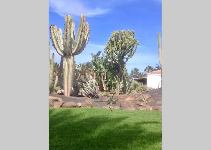 Апартаменты Duplex /calme-piscine-vue Ocean-regle/hygiene Cov. Коста-де-Антигуа