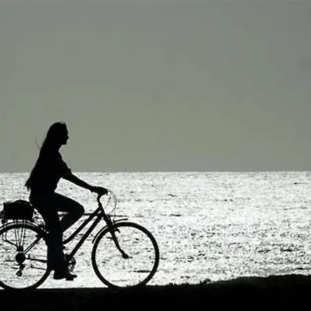 アパート Duplex /calme-piscine-vue Ocean-regle/hygiene Cov. *