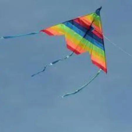 アパート Duplex /calme-piscine-vue Ocean-regle/hygiene Cov.